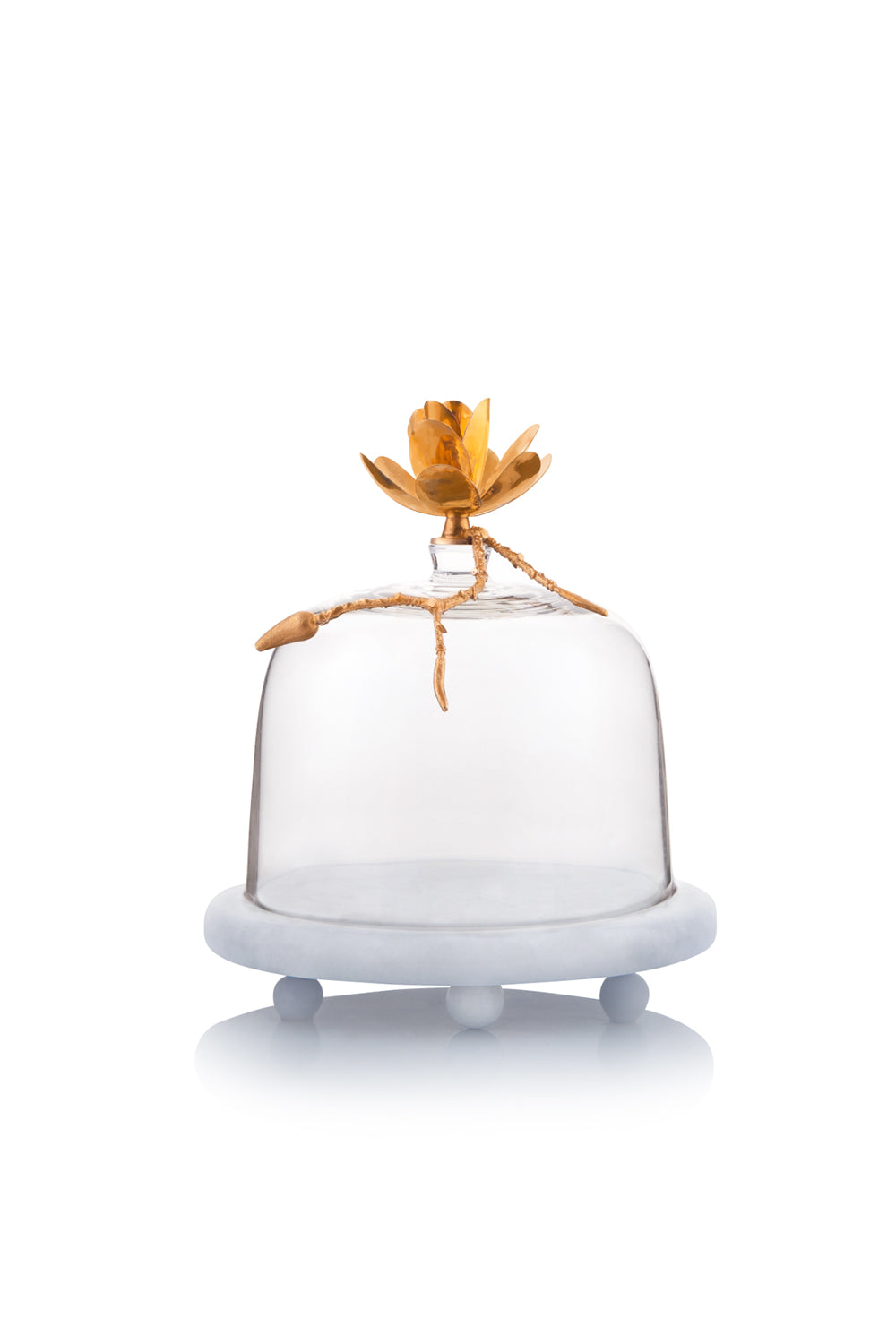 Accract-Fanus-Sunum Aksesuarları-1-Milagron.com