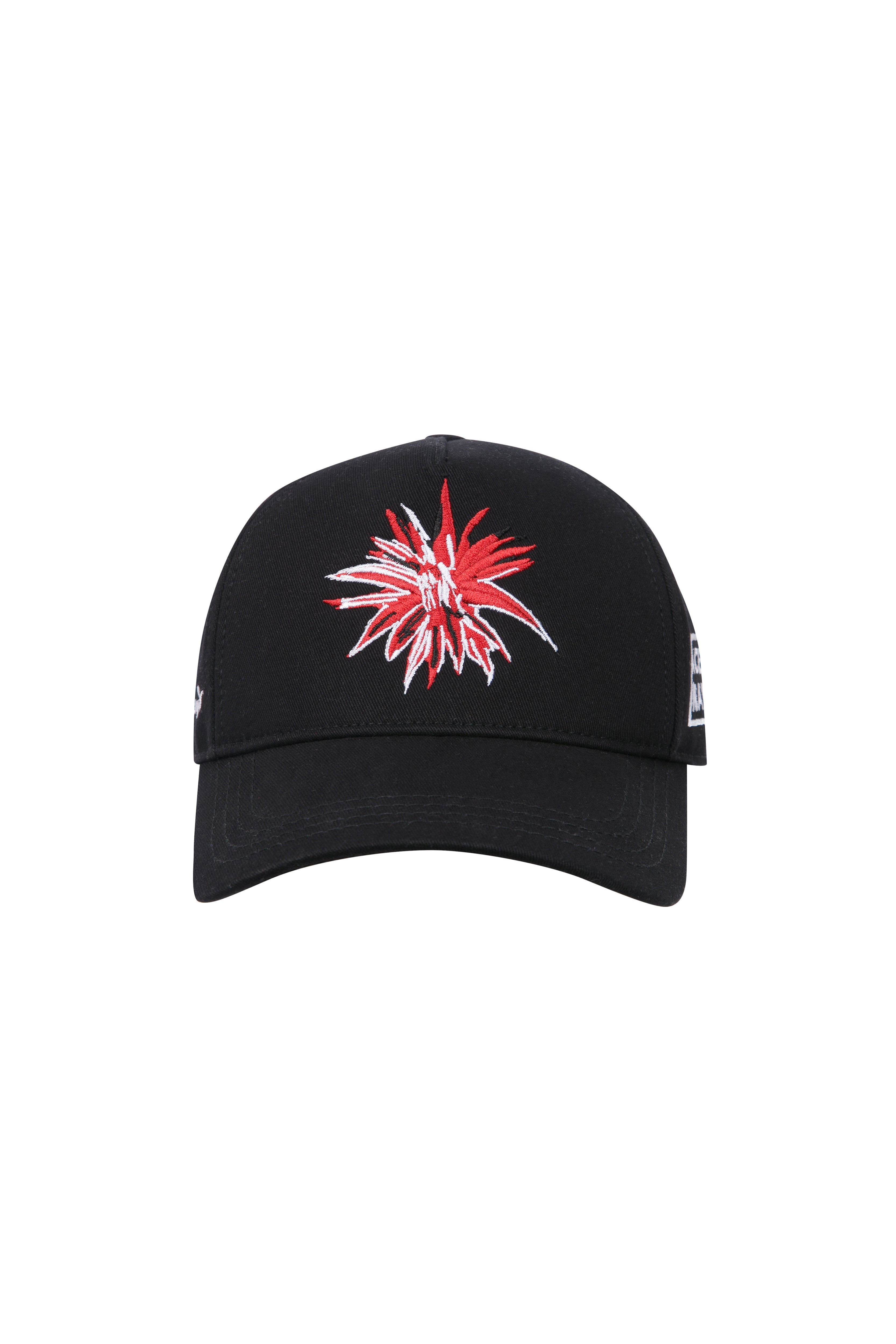 Ace Nayman-Sd Cap-1-Milagron.com