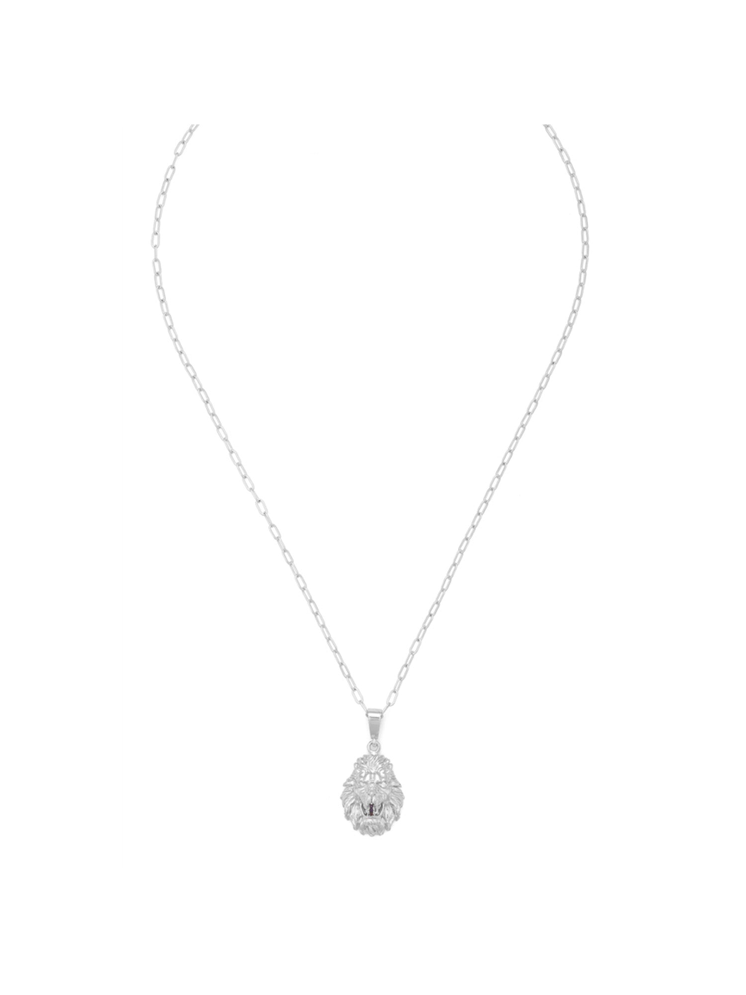 Aden Newyork-Leonidas Kolye Gümüş-Kolye-2-Milagron.com