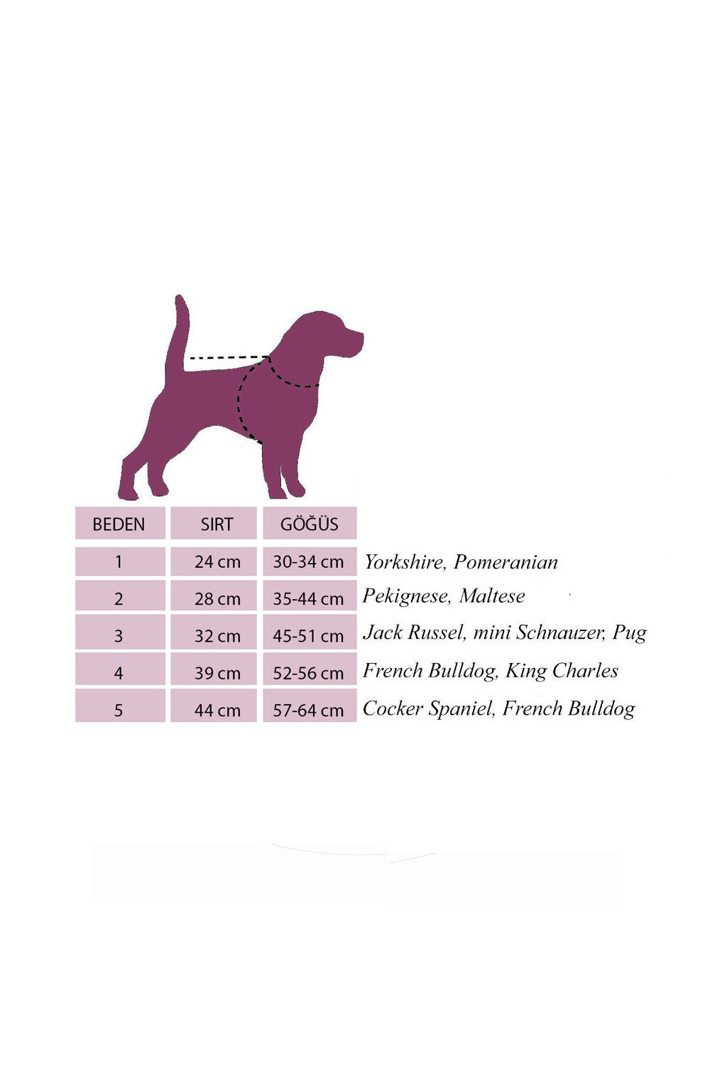 Alphadog Design-Flash Orange Neon Pet Yağmurluk-Köpek-3-Milagron.com