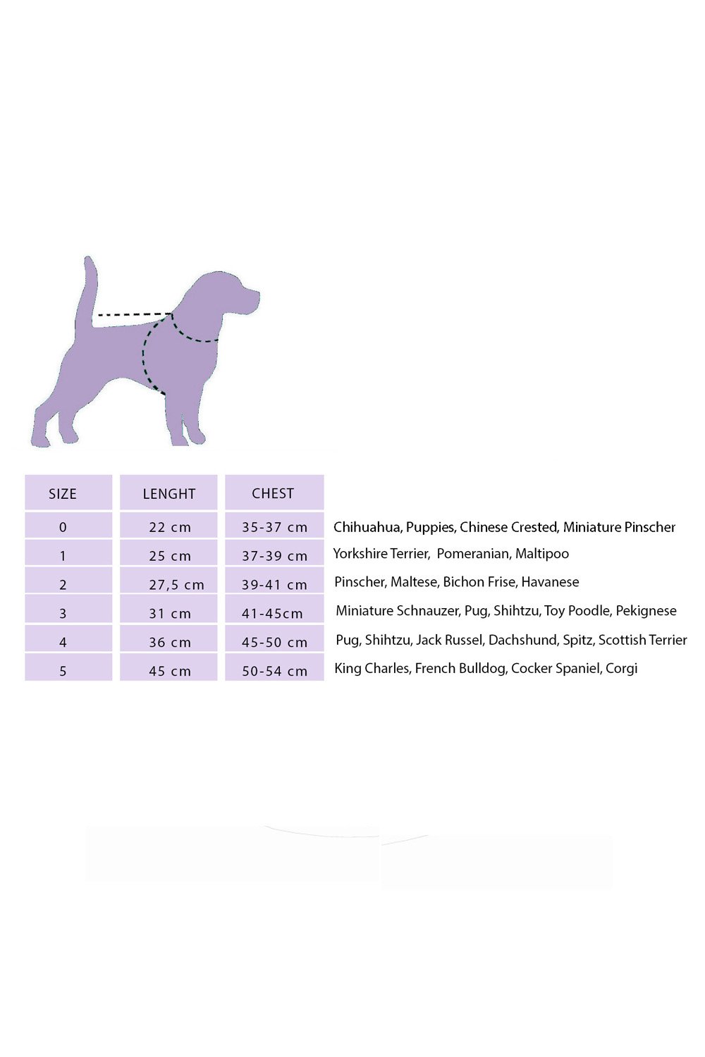 Alphadog Design-Heaven Blue Pet Kazak-Kedi-3-Milagron.com