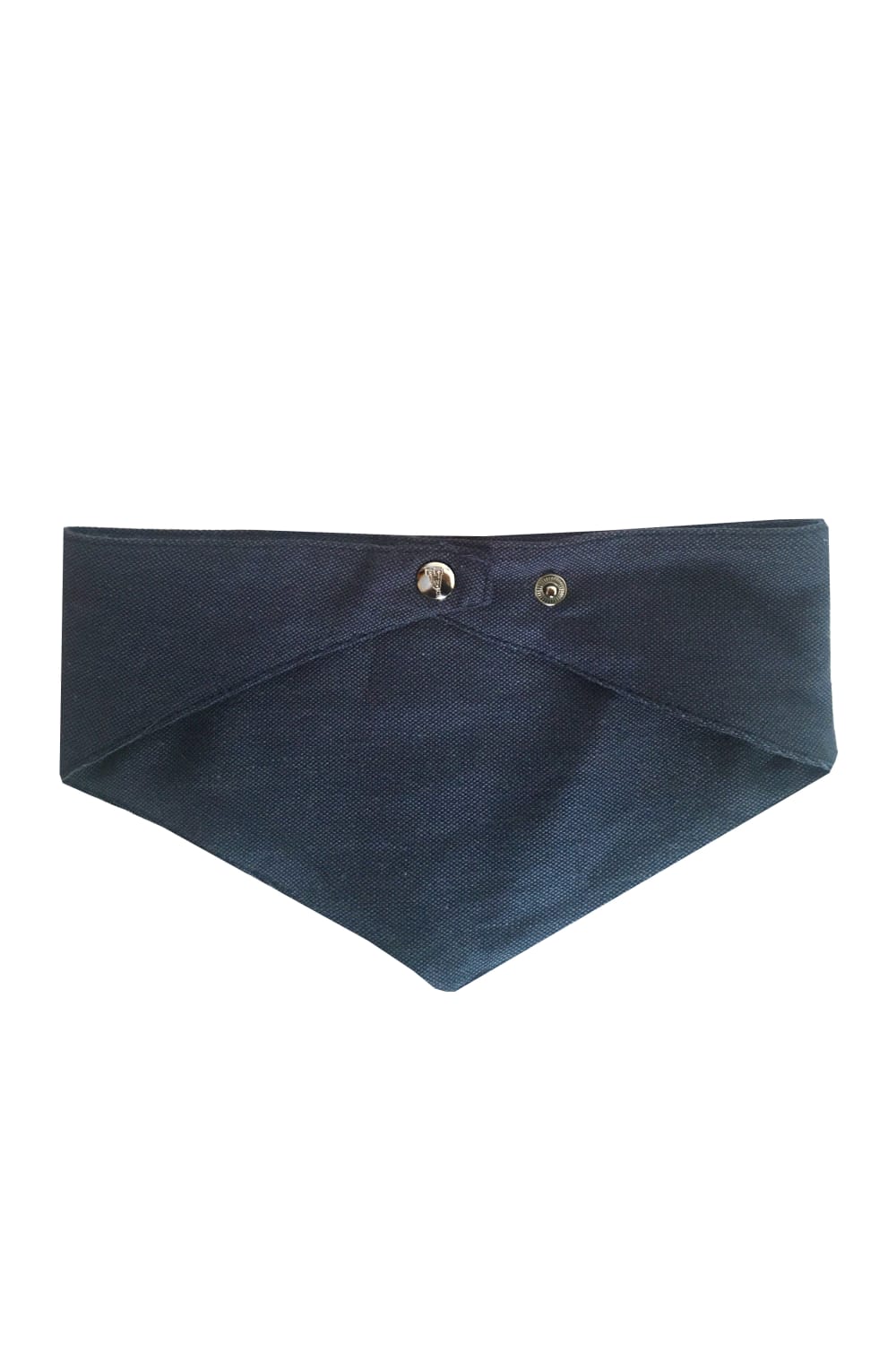 Alphadog Design-Player Denim Pet Bandana-Köpek-2-Milagron.com