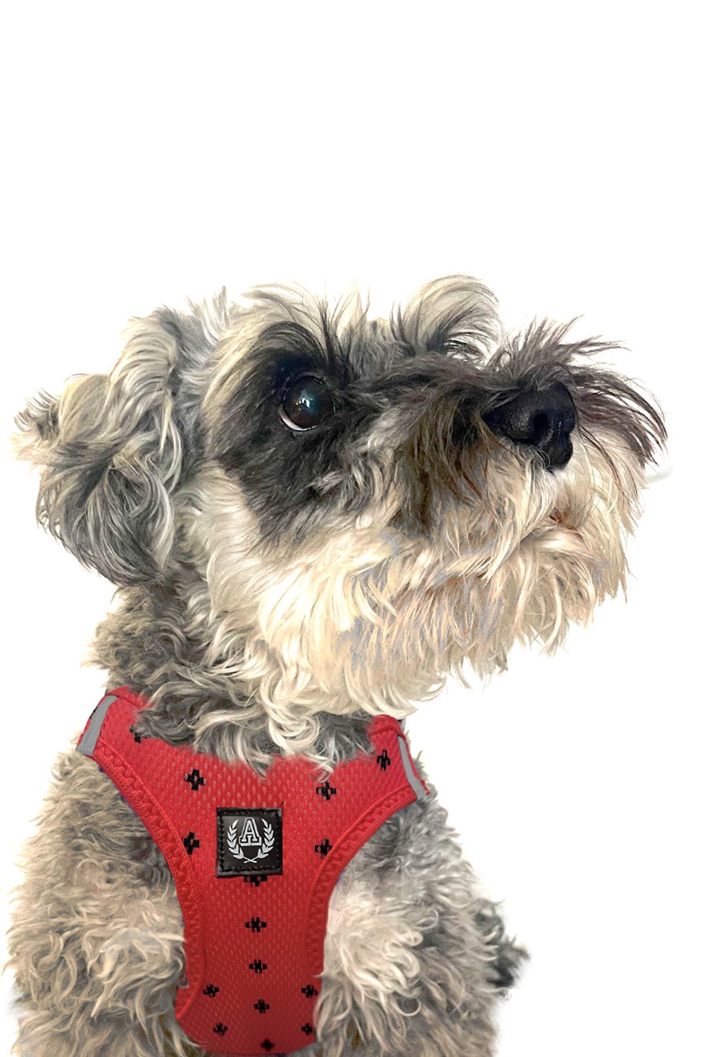 Alphadog Design-Positive Air Mesh Harness Göğüs Tasması-Köpek-4-Milagron.com