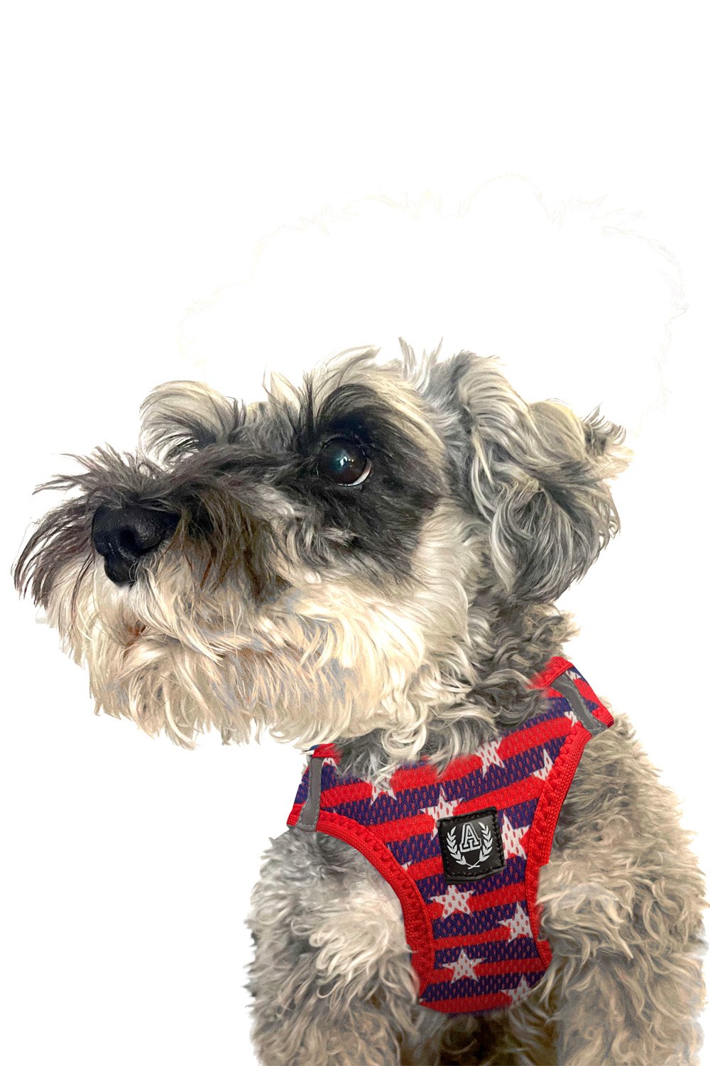 Alphadog Design-Stars Air Mesh Harness Göğüs Tasması-Köpek-3-Milagron.com
