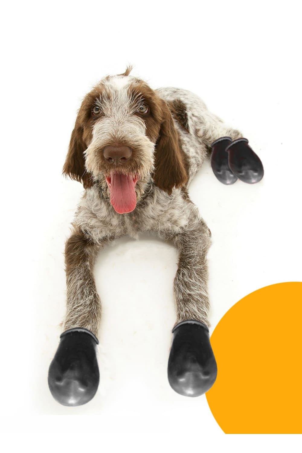 Alphadog Design-Walkies Black Kauçuk Pet Ayakkabısı-Köpek-2-Milagron.com