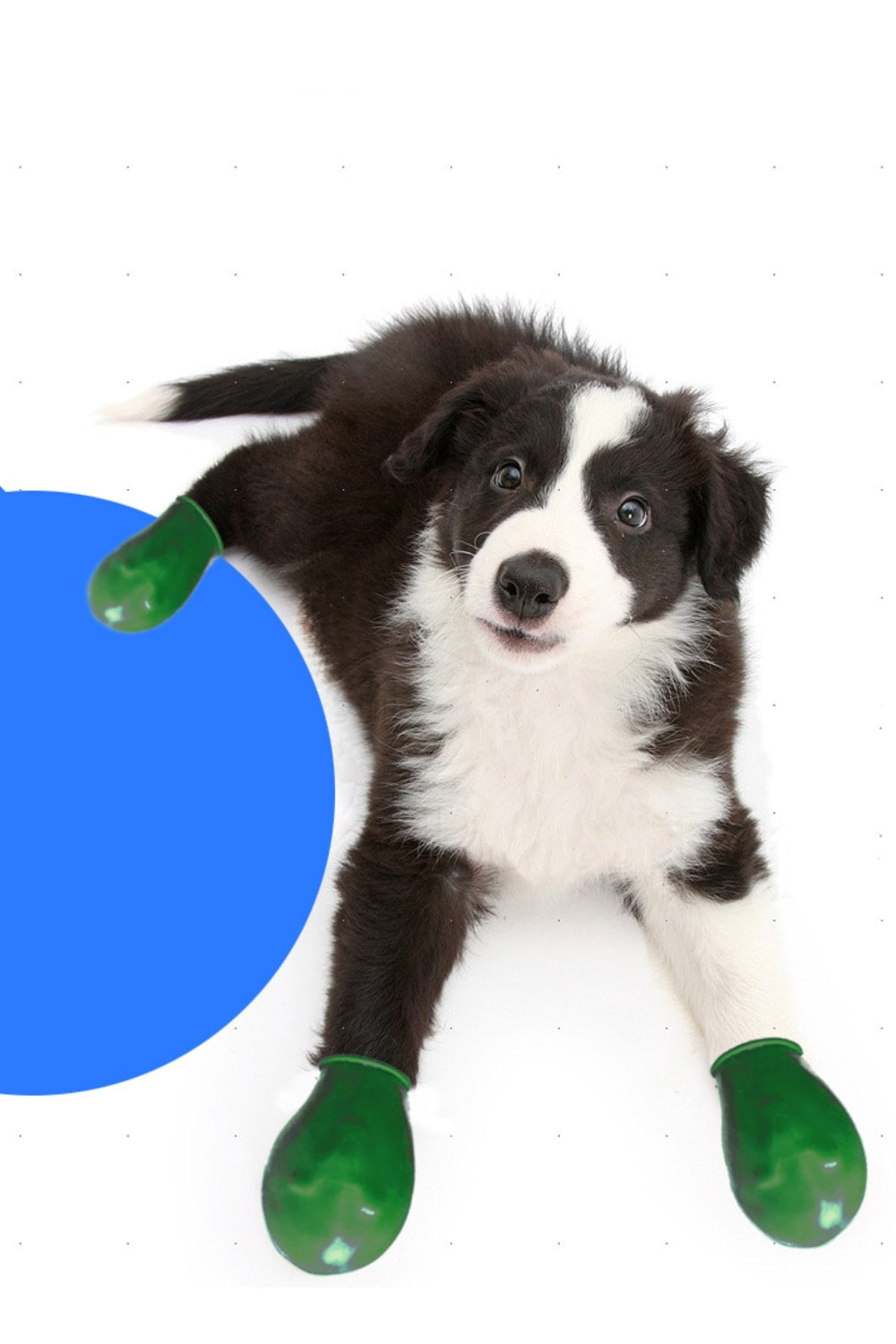 Alphadog Design-Walkies Green Kauçuk Pet Ayakkabısı-Köpek-2-Milagron.com