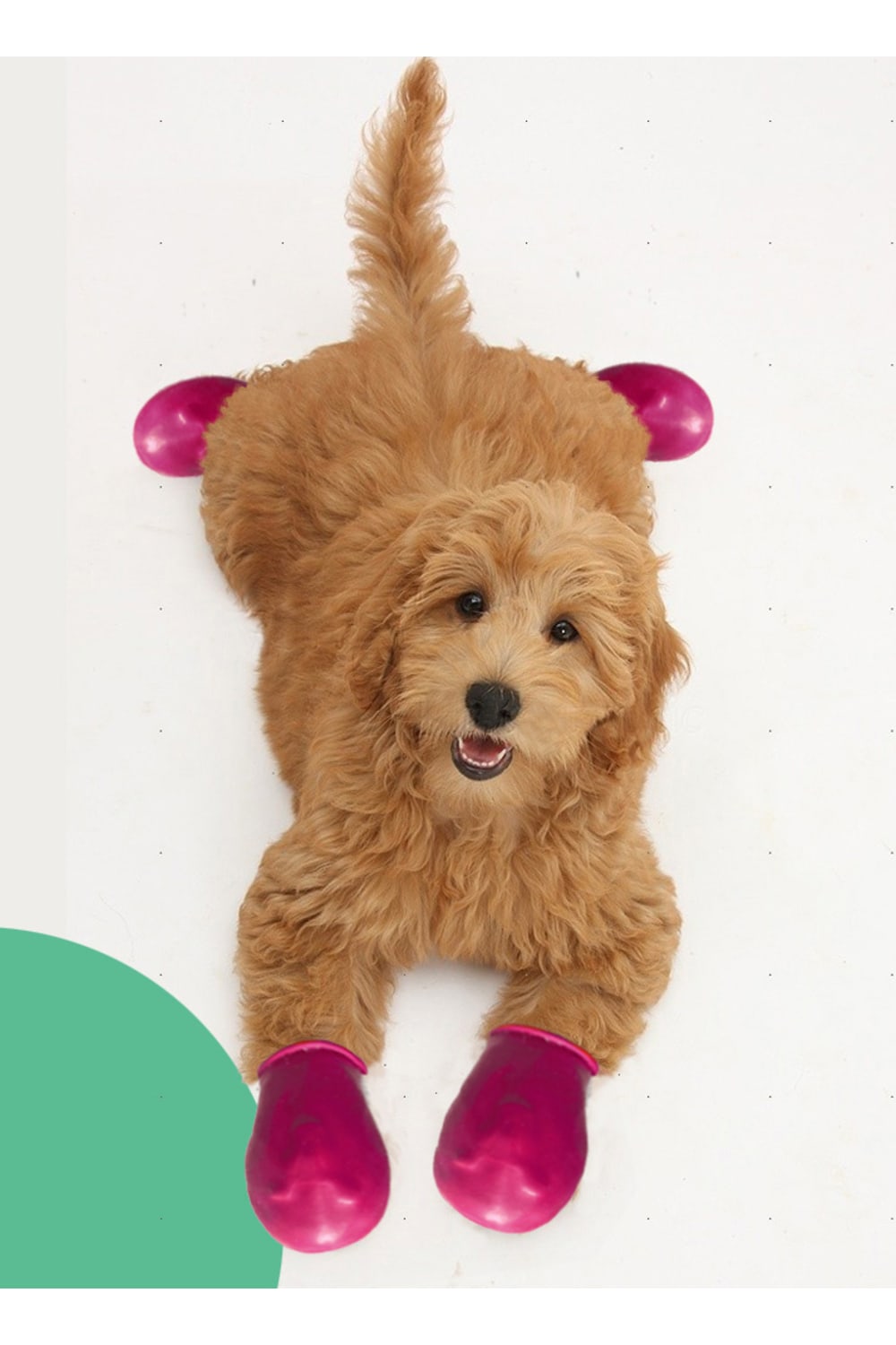 Alphadog Design-Walkies Pink Kauçuk Pet Ayakkabısı-Köpek-2-Milagron.com