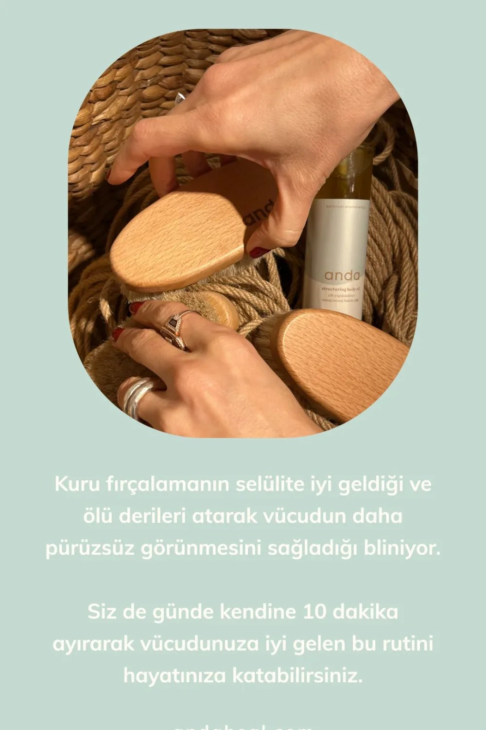 Anda Heal-Doğal At Kılı Fırça-Cilt Bakım Aletleri-5-Milagron.com