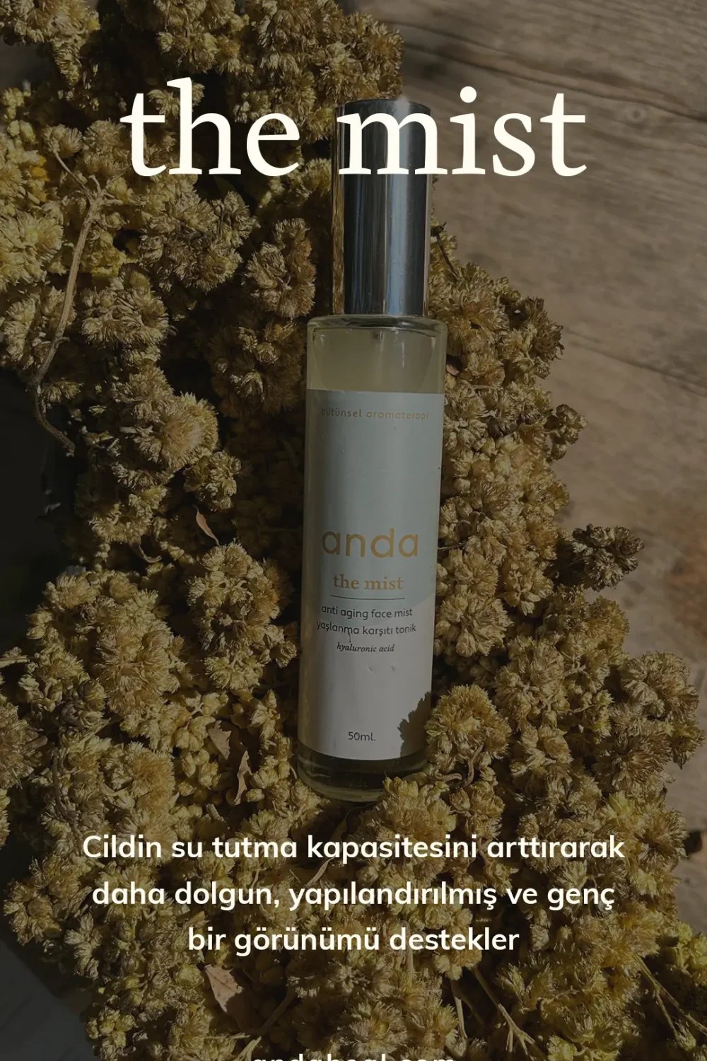 Anda Heal-The Mist - Hyaluronic Acid Tonik-Tonik-4-Milagron.com