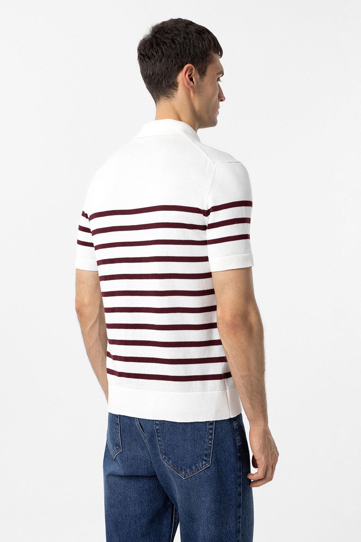 Antioch-Bordo Ekru Polo Yaka Çizgili Erkek Triko T Shirt-T-Shirts-5-Milagron.com