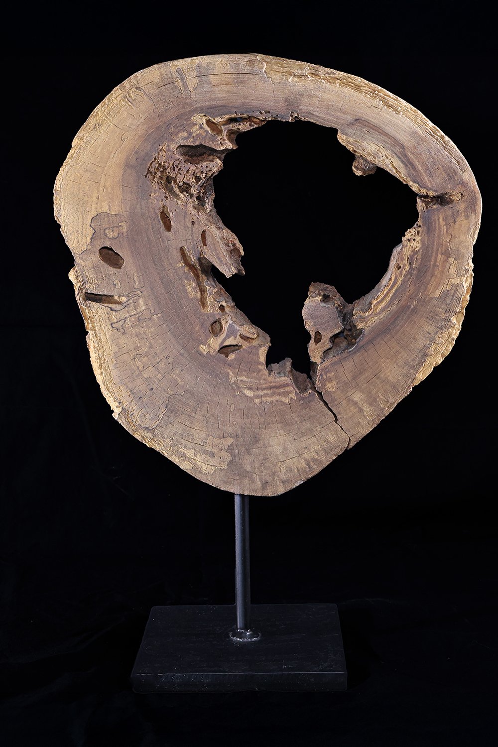 Arete Design by Egemen Umut Şen-Circular Ahşap Soyut Heykel-Heykel-2-Milagron.com