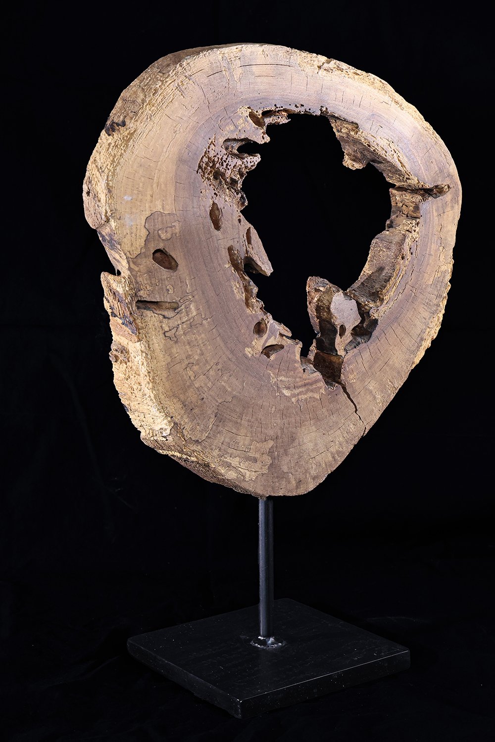 Arete Design by Egemen Umut Şen-Circular Ahşap Soyut Heykel-Heykel-3-Milagron.com