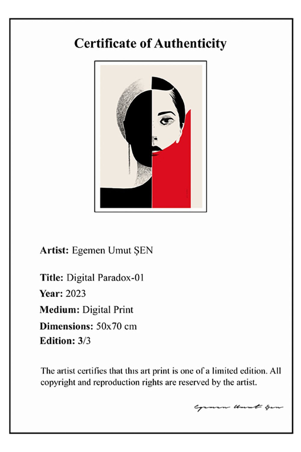 Arete Design by Egemen Umut Şen-Digital Paradox 01-Tablo-3-Milagron.com