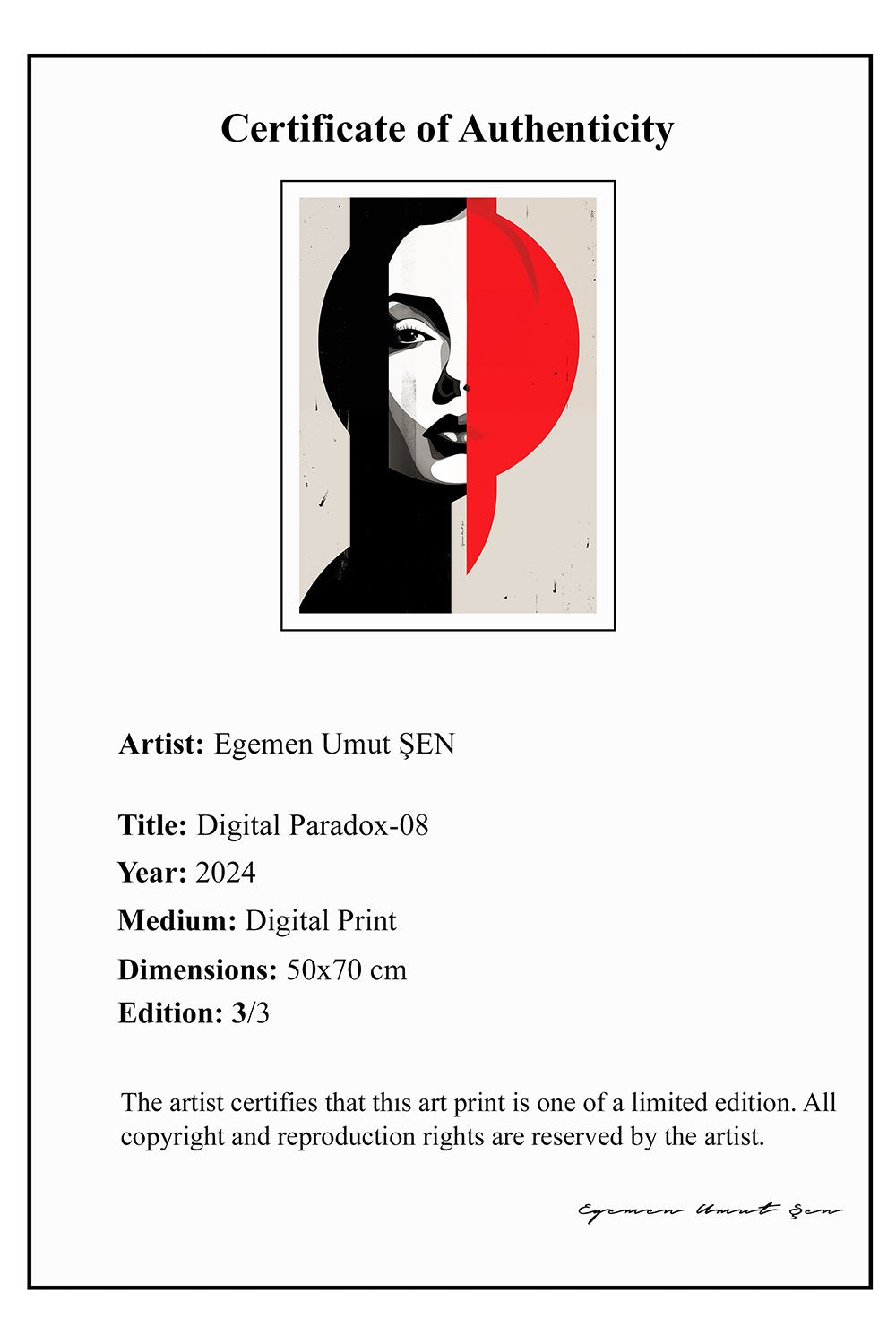 Arete Design by Egemen Umut Şen-Digital Paradox 04-Tablo-3-Milagron.com