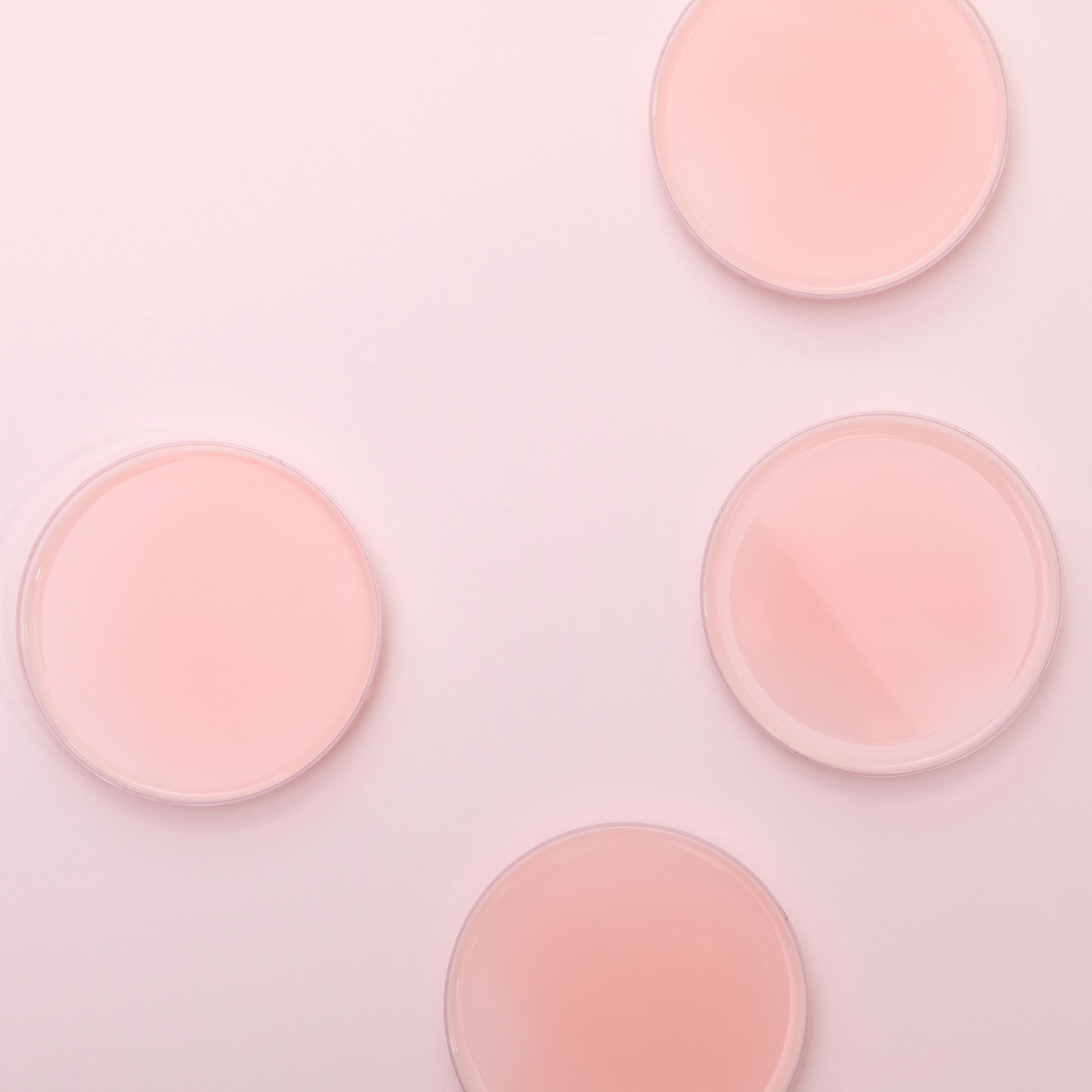 Aromatica-Reviving Rose Infusion Treatment Toner – Canlandırıcı Gül Toniği-Tonik-8-Milagron.com