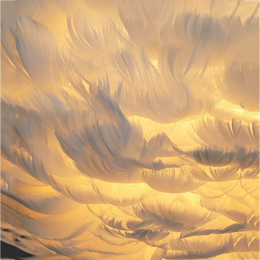 Atolye Store-Pluma Sarkıt Medium-Avize-2-Milagron.com