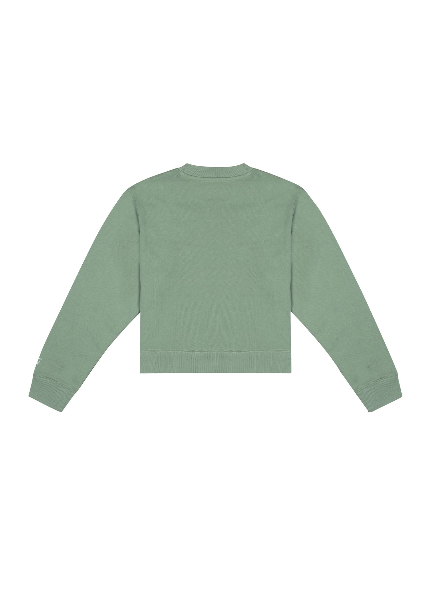 Bisiklet Yaka Sweatshirt - Yeşil