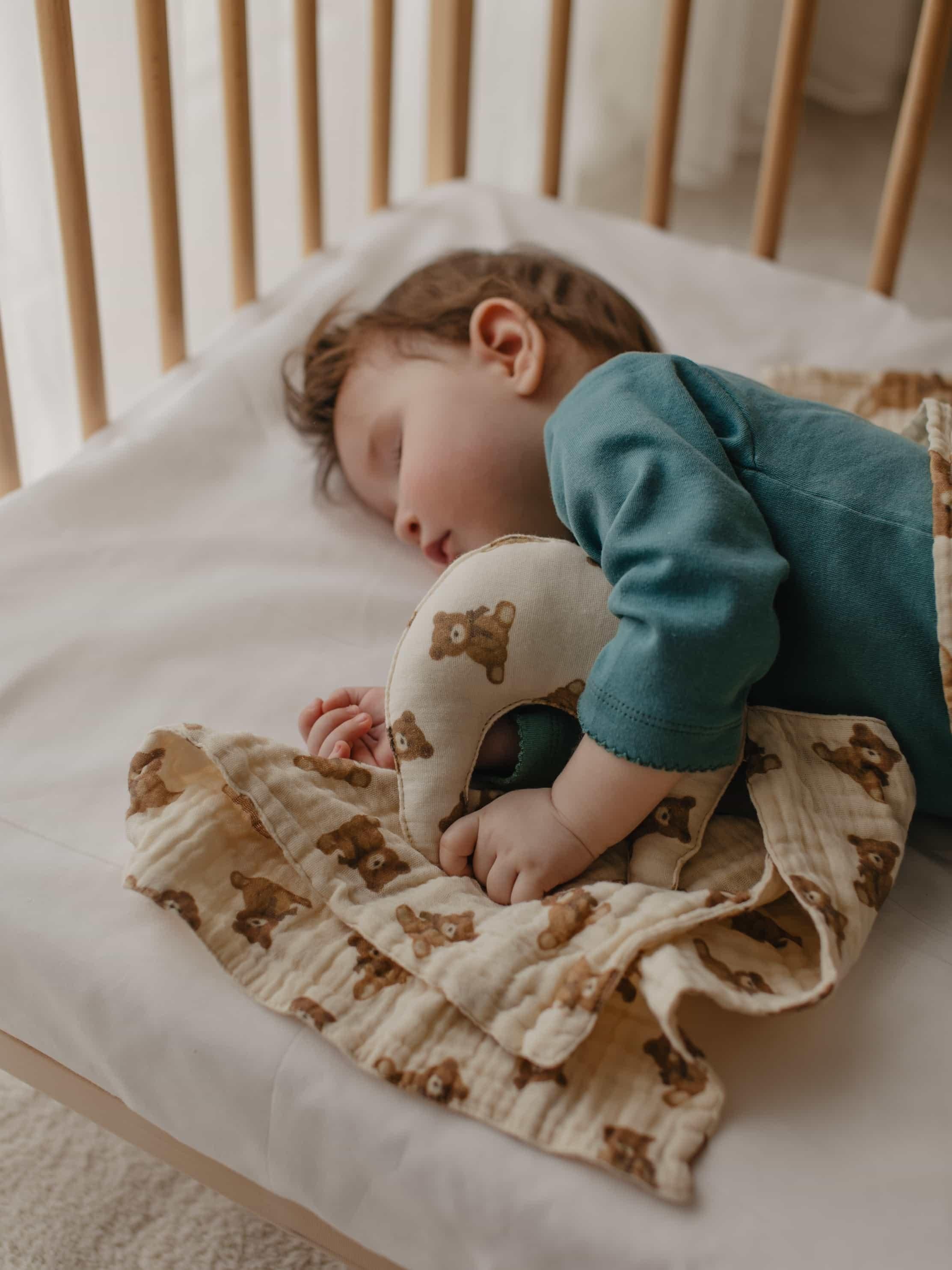 Babybek-Teddy Uyku Arkadaşı-Uyku Arkadaşı-1-Milagron.com