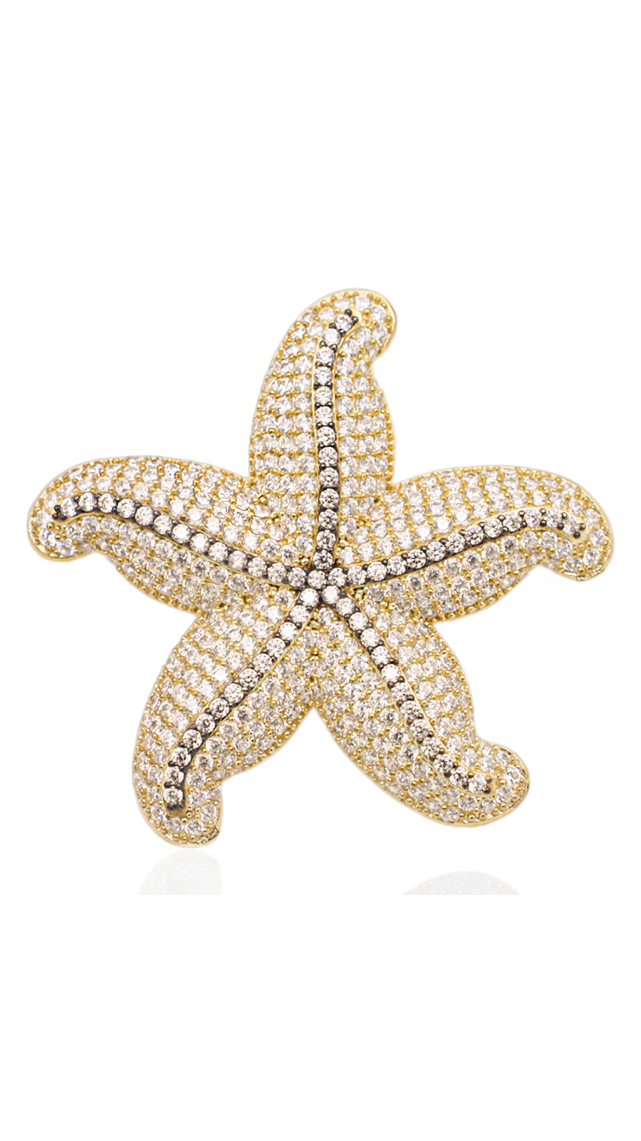 Bayemeyc-Deni̇z Yıldızı Broş-Broş-1-Milagron.com