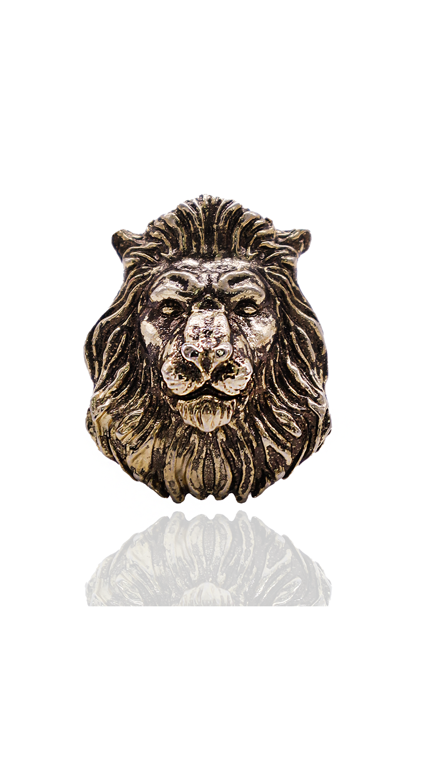 Bayemeyc-Leo Yüzük-Yüzük-1-Milagron.com