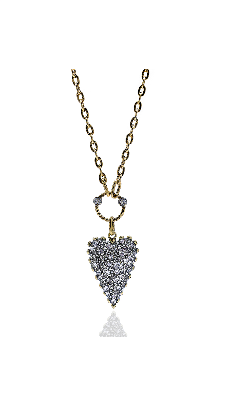 Bayemeyc-Passione Altın Kaplama Kolye-Kolye-1-Milagron.com