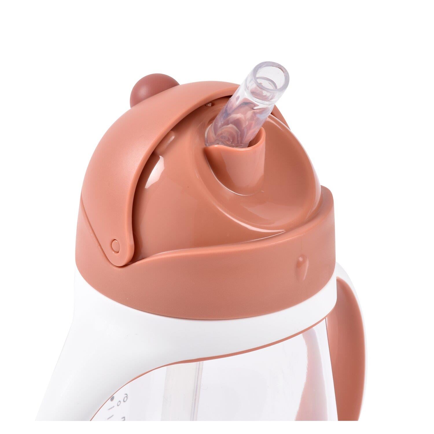300 Ml Şeffaf Pipetli Suluk, Terracotta