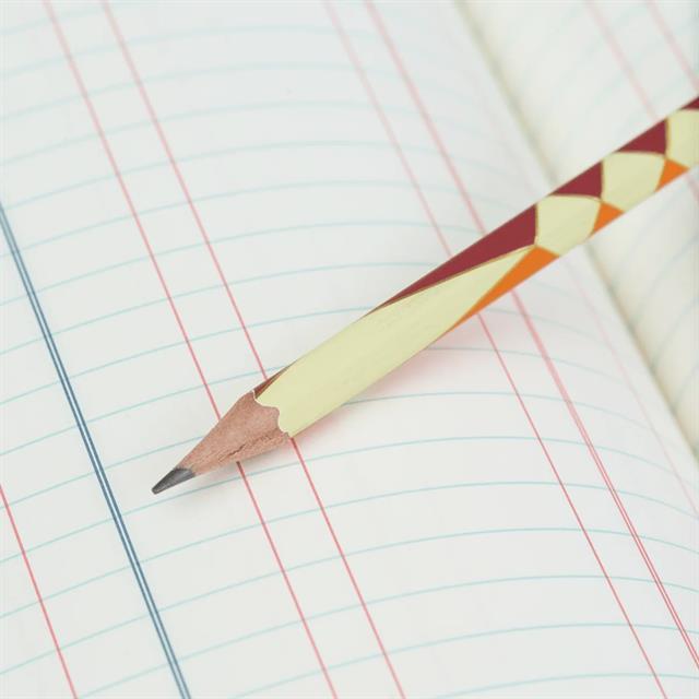 Blackwing-Palomino Blackwing Volume 574 Firm Grafit 12'li Ahşap Kurşun Kalem Seti-KALEM-4-Milagron.com