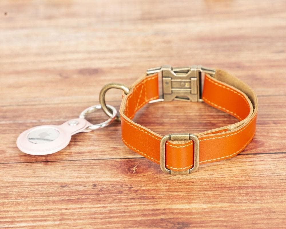 Bloominbag-Bloom Paw Copper Hakiki Deri Pet Tasma-3-Milagron.com