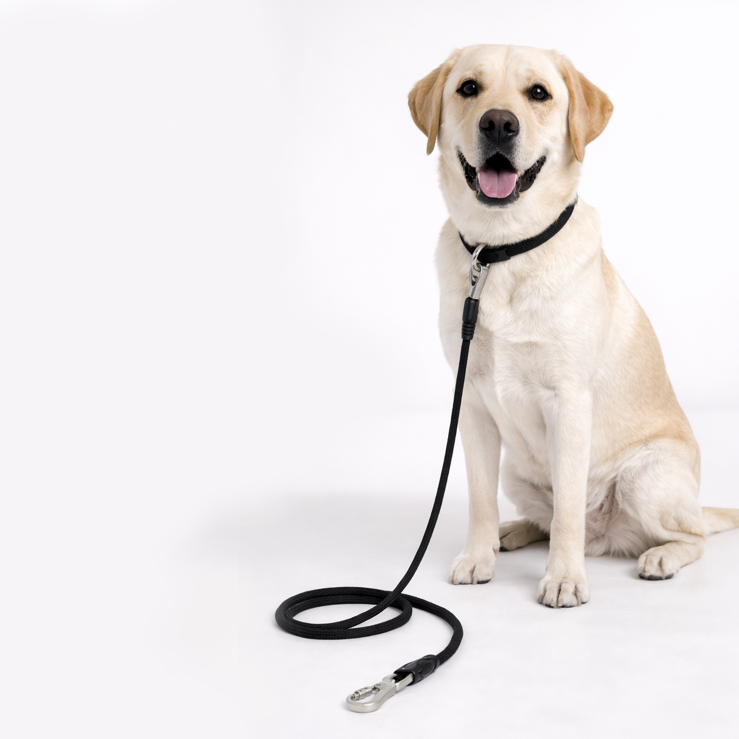 Polypropylene Rope Leash - 11Mm/180Cm