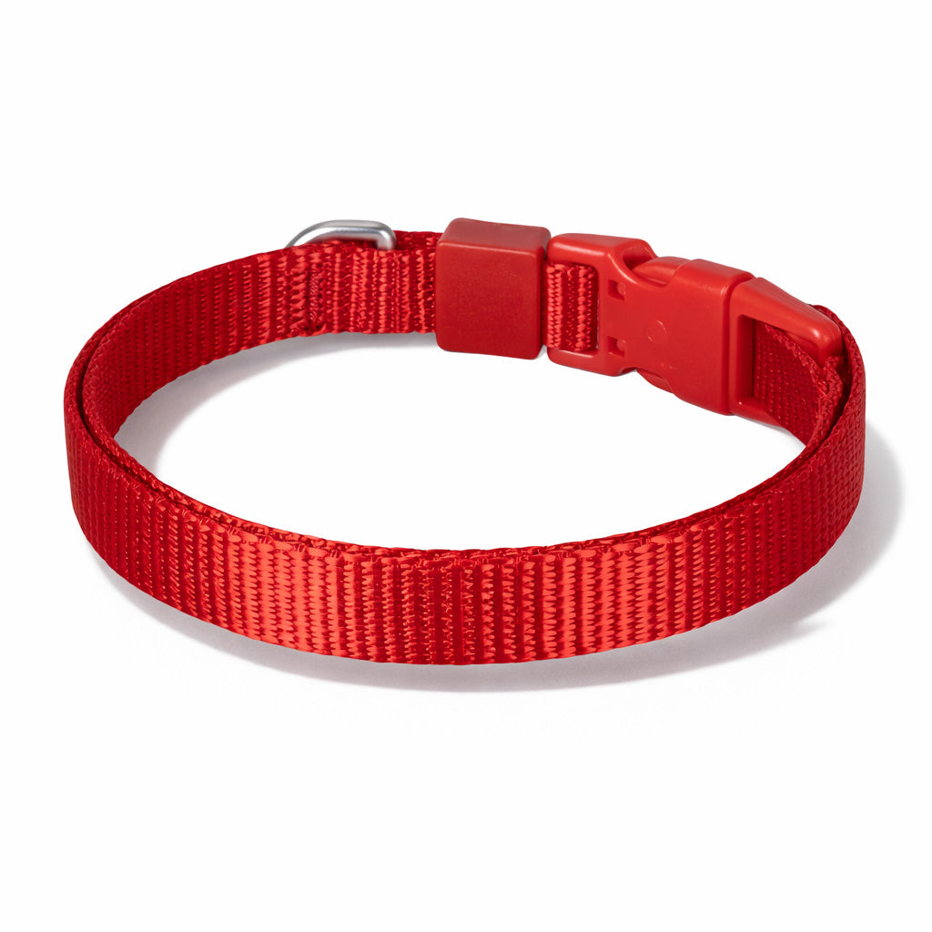 Swissplus Urban Paws Köpek Tasması – Crimson Red | Ayarlanabilir, Dayanıklı, Hafif-10Mm