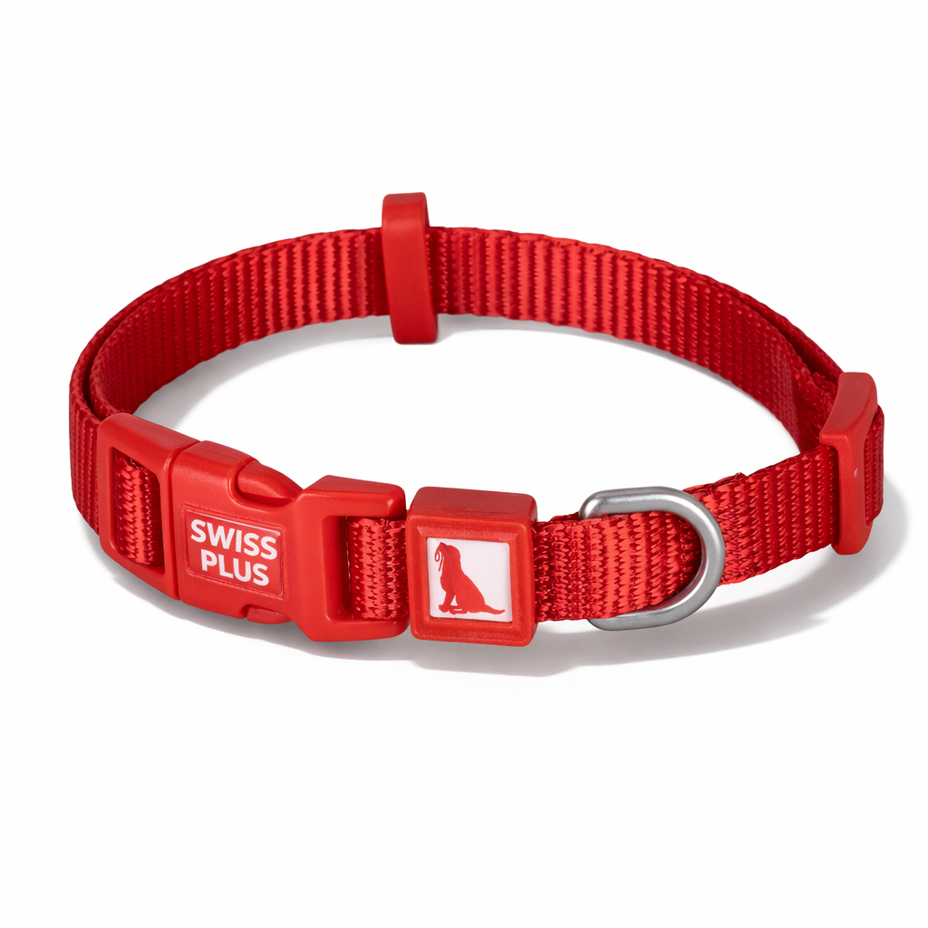 Swissplus Urban Paws Köpek Tasması – Crimson Red | Ayarlanabilir, Dayanıklı, Hafif-10Mm