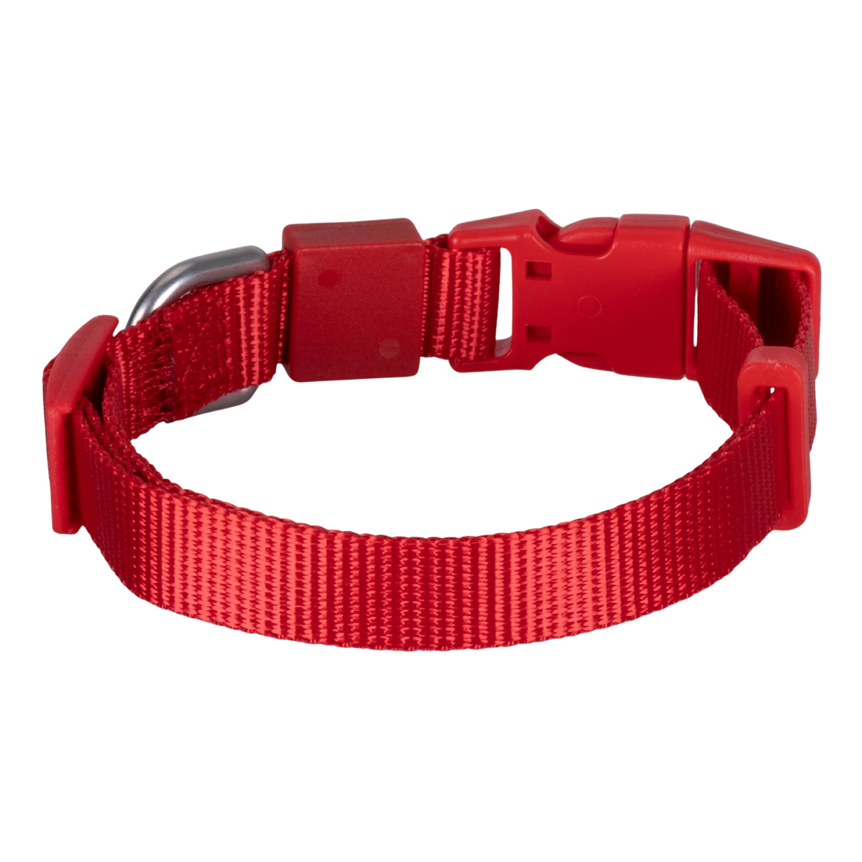 Swissplus Urban Paws Köpek Tasması – Crimson Red | Ayarlanabilir, Dayanıklı, Hafif-15Mm