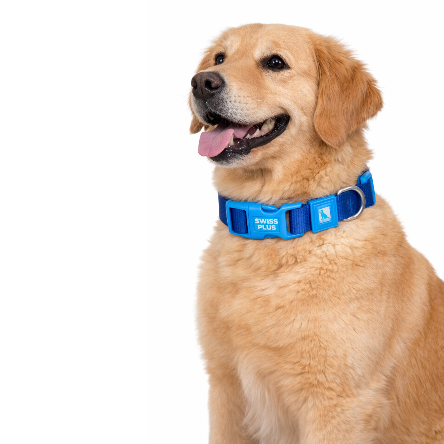 Swissplus Urban Paws Köpek Tasması – Deep Ocean Blue | Ayarlanabilir, Dayanıklı, Hafif-15Mm