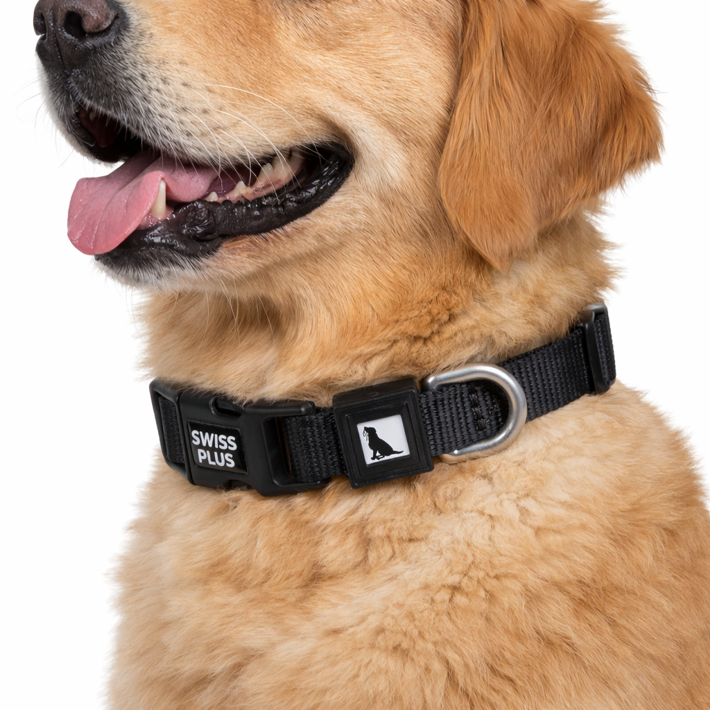 Swissplus Urban Paws Köpek Tasması – Noir Black | Ayarlanabilir, Dayanıklı, Hafif-10Mm