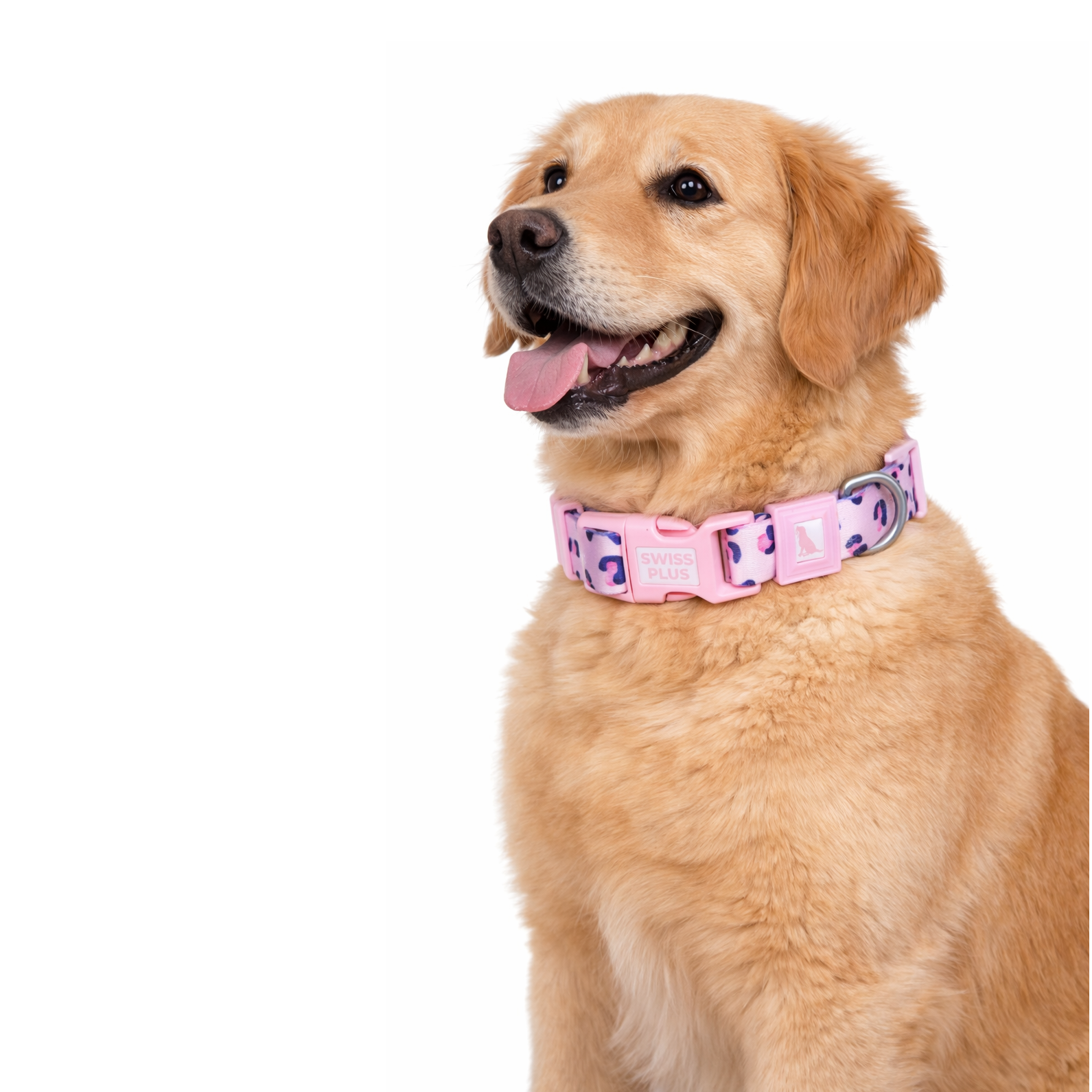 Swissplus Urban Paws Pink Leo Recycled Köpek Tasması - 10 Mm