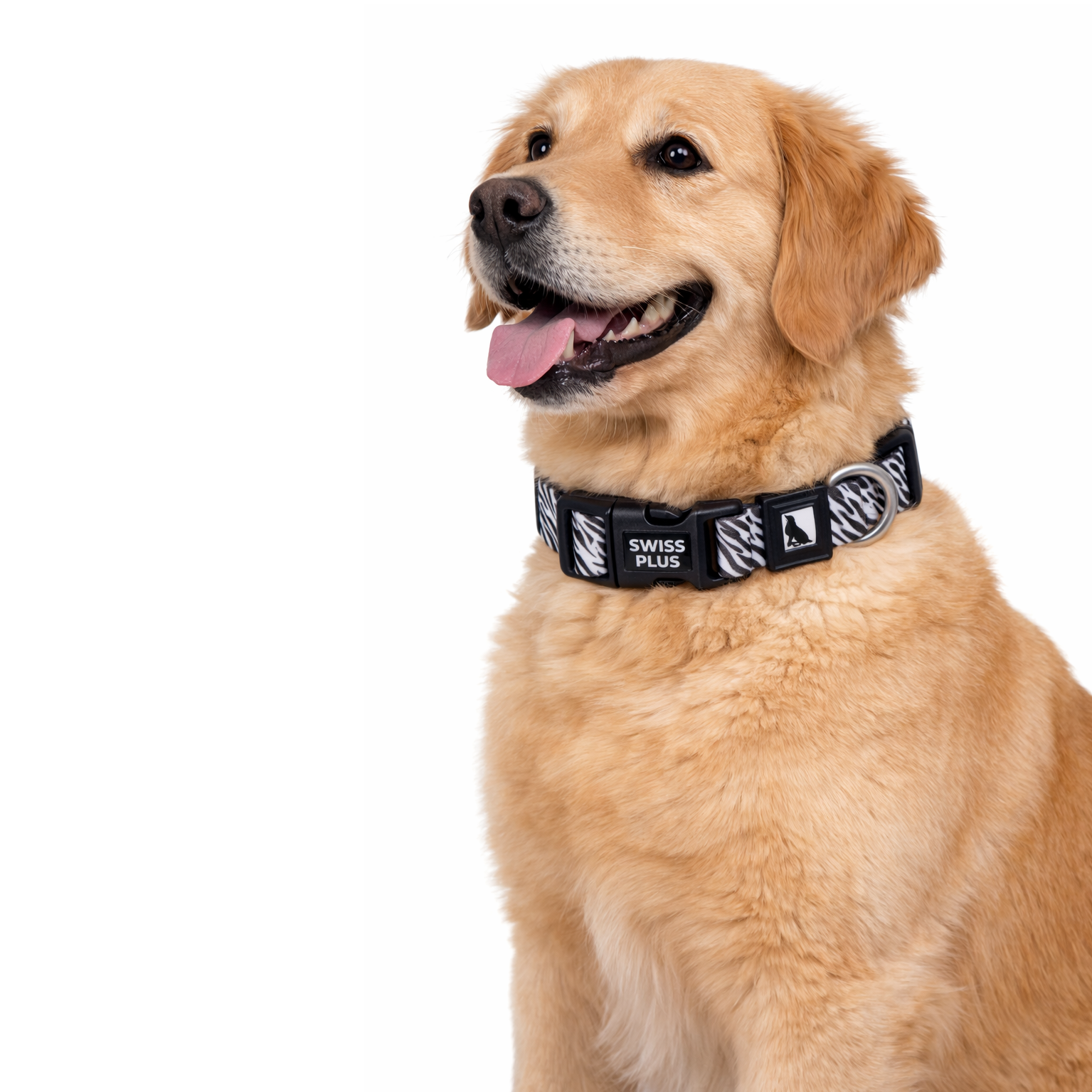 Swissplus Urban Paws Zebra Noir Recycled Köpek Tasması - 15 Mm