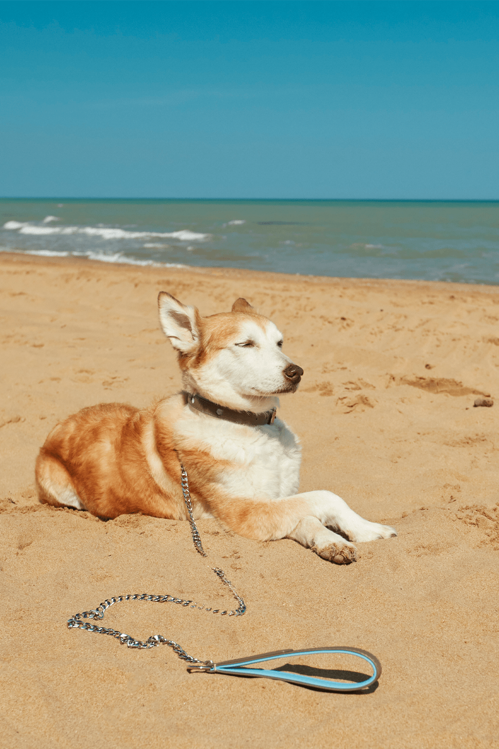 Bonabag-Chain Leash Rock & Wave-Köpek-3-Milagron.com