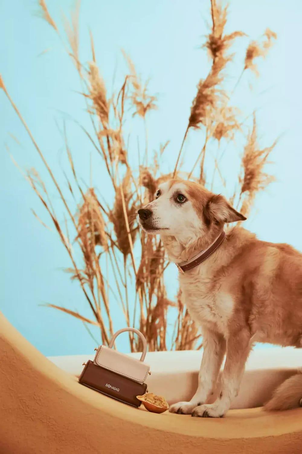 Bonabag-Mini Dualer Cortado-Omuz Çantası-5-Milagron.com