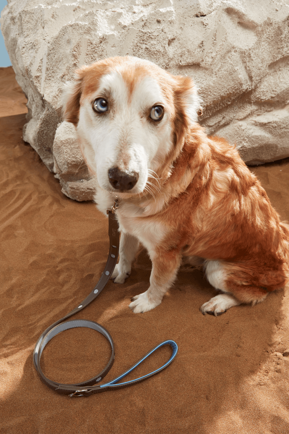 Bonabag-Urban Leash Rock & Wave-Köpek-2-Milagron.com