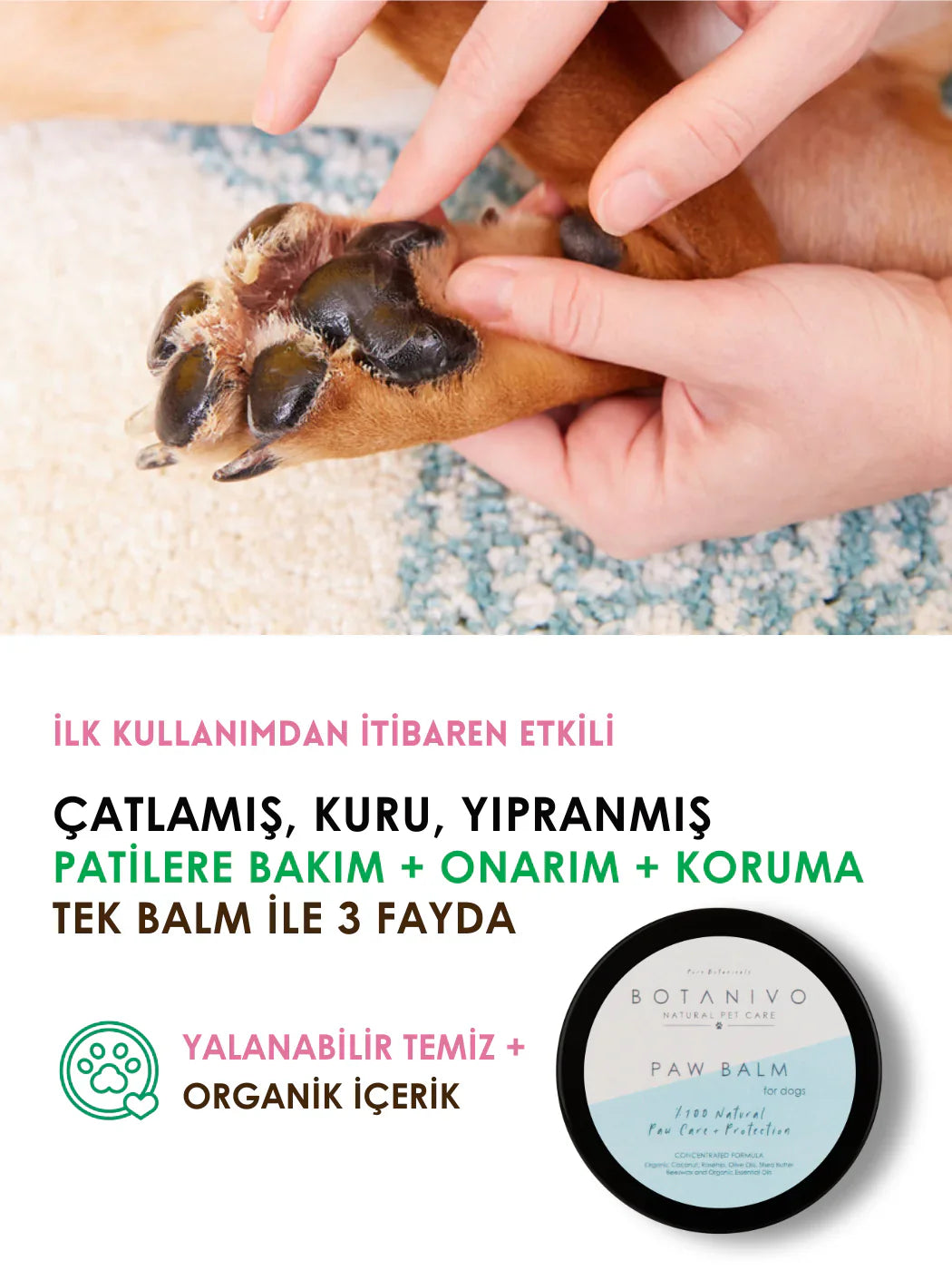Botanivo-Botanivo Köpekler İçin Pati Bakım + Onarım + Koruma Balmı | Organik İçerikli | 30 Ml-Köpek-3-Milagron.com