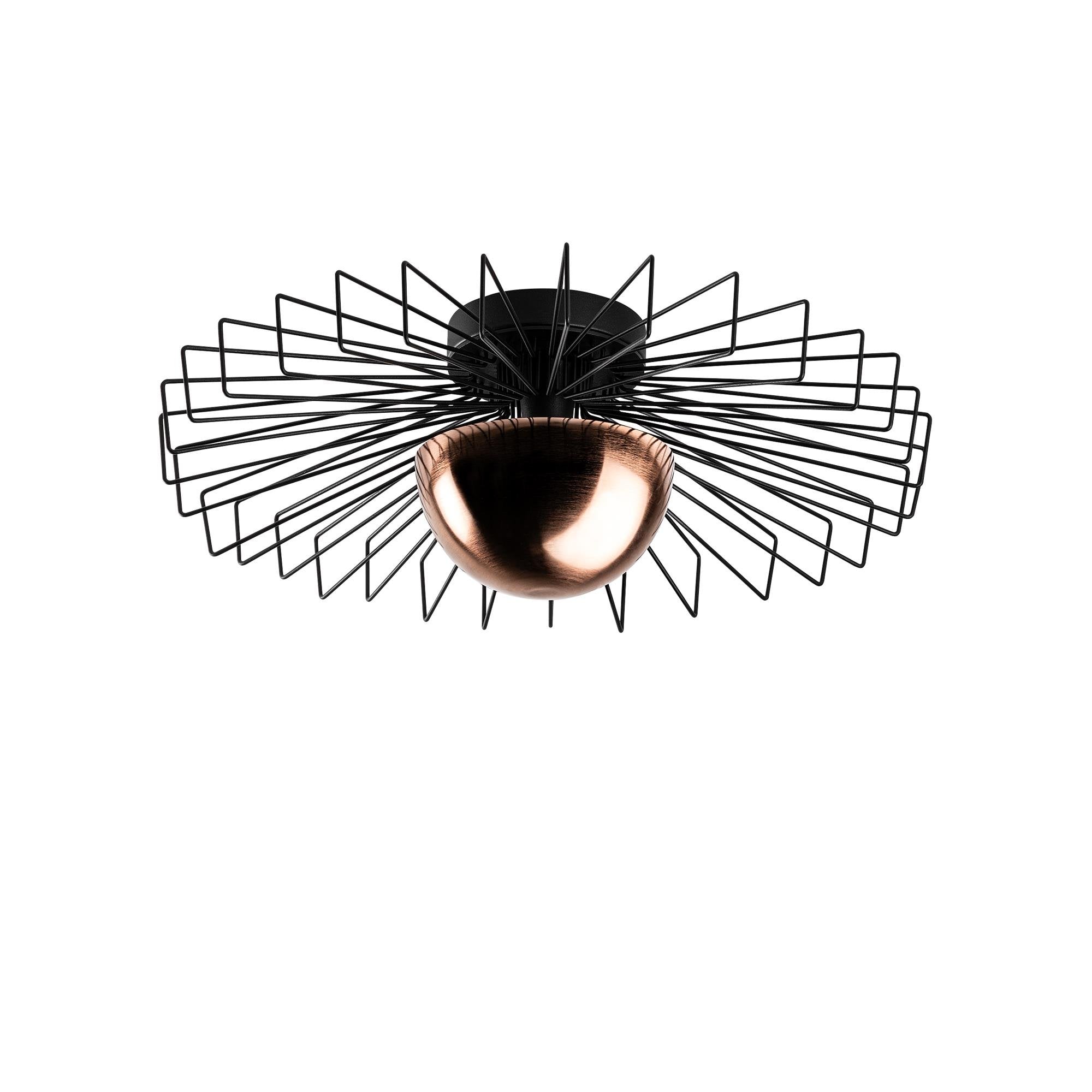 Centauria 15225 L Tel Plafonyer Aydınlatma