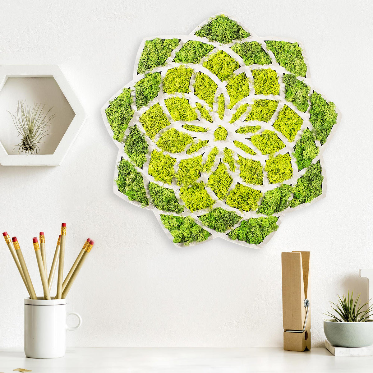 Yns-005 Dekoratif Yosun Duvar Tablosu