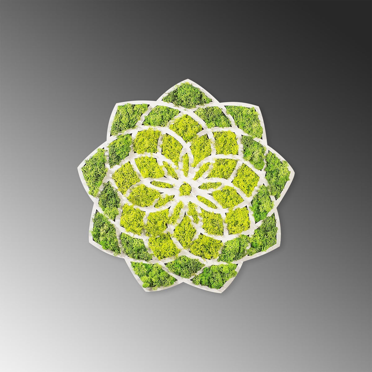 Yns-005 Dekoratif Yosun Duvar Tablosu
