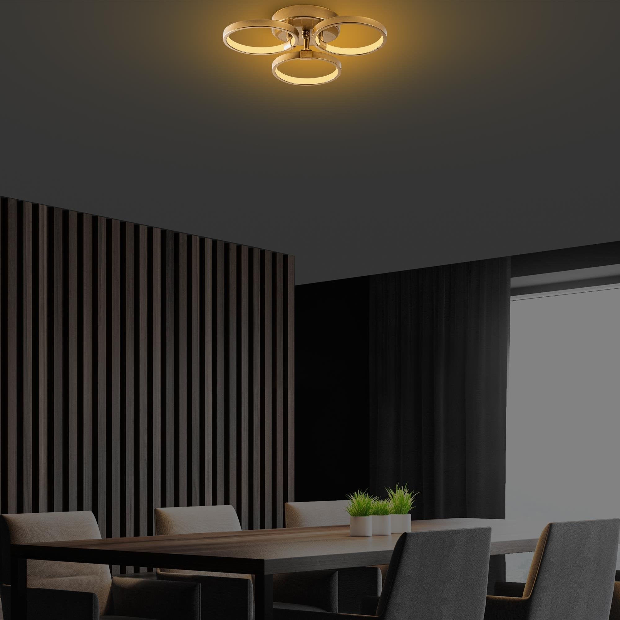 Irisara 13311 Led Plafonyer Aydınlatma