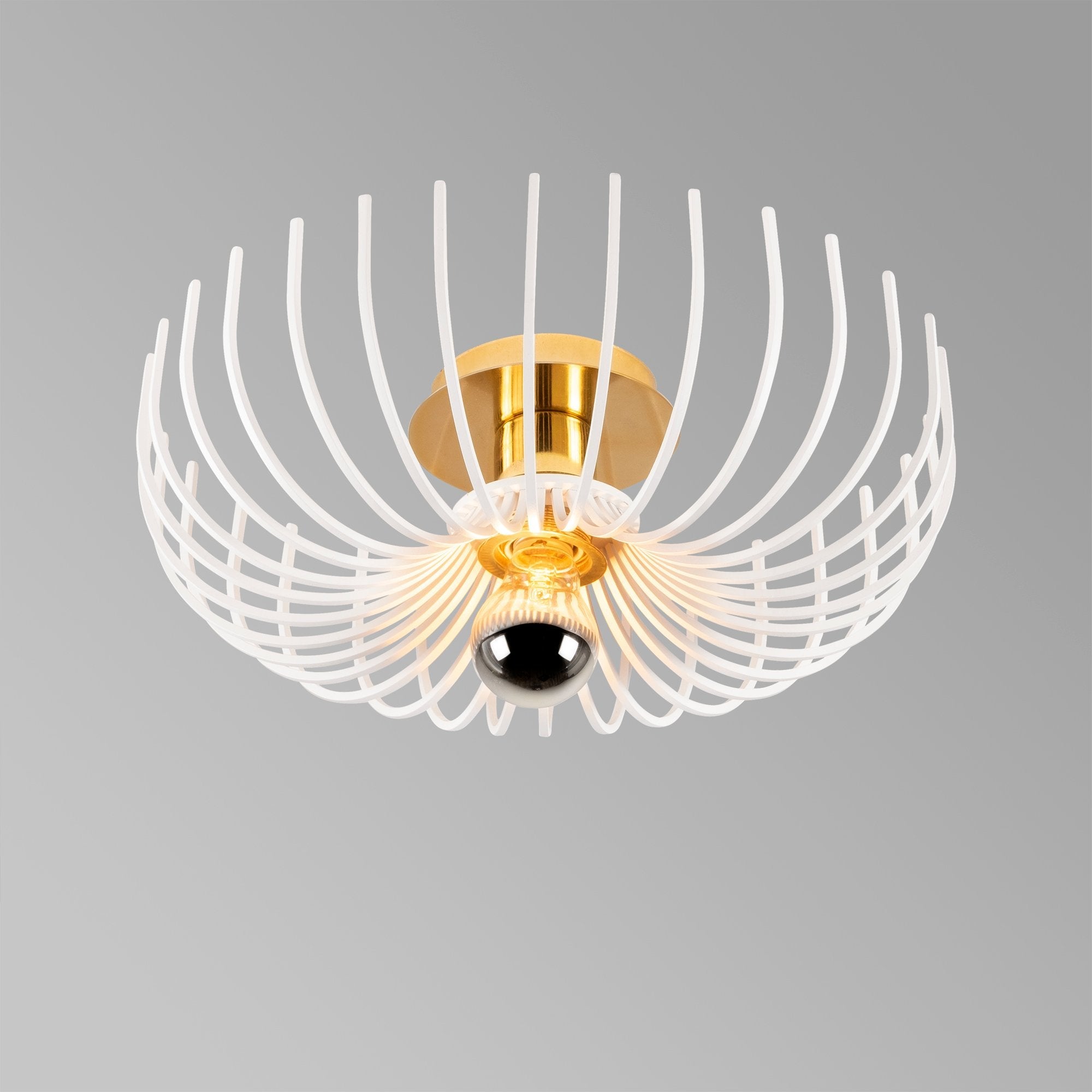 Peony 642 Tel Plafonyer Aydınlatma