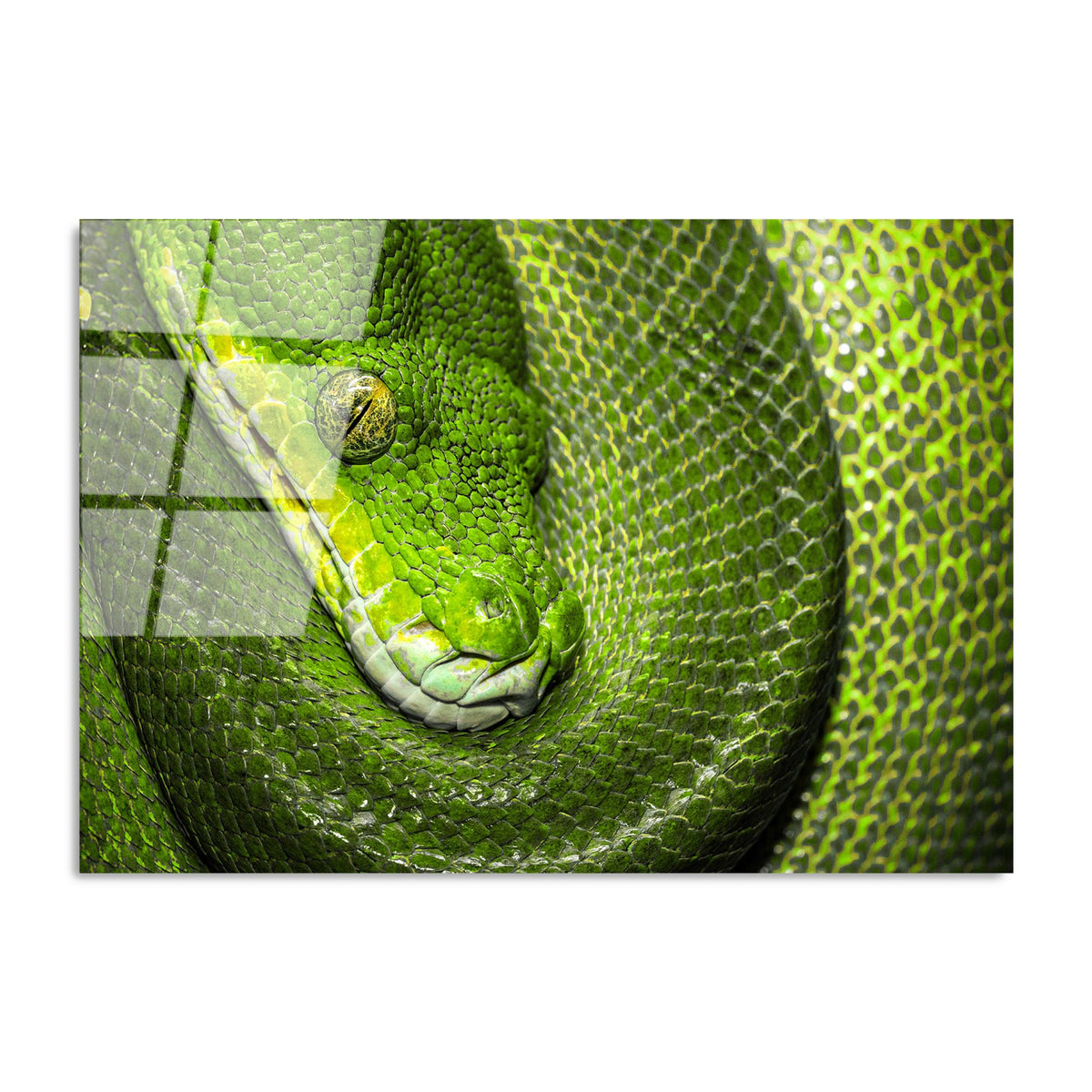 Uv-150 Baskılı Cam Dikdörtgen Duvar Tablosu