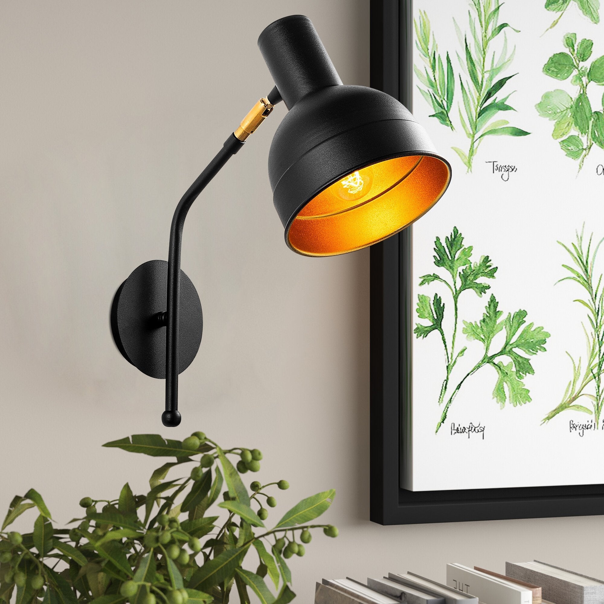Willow 183 Black Sıvama Aplik Duvar Aydınlatma