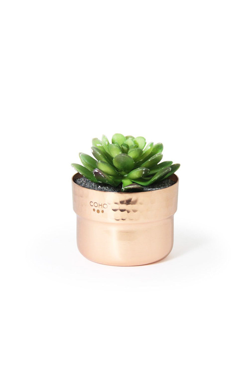 Coho Objet-Artisan Prime Sukulent Bakır Saksı-Saksı-2-Milagron.com