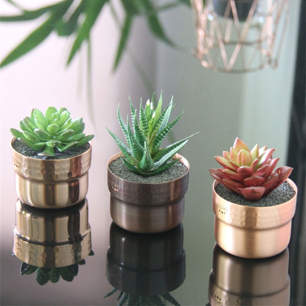 Coho Objet-Coho Artisan Prime Sukulent Bakır Saksı-Prime Serisi Bakır Saksılar-3-Milagron.com