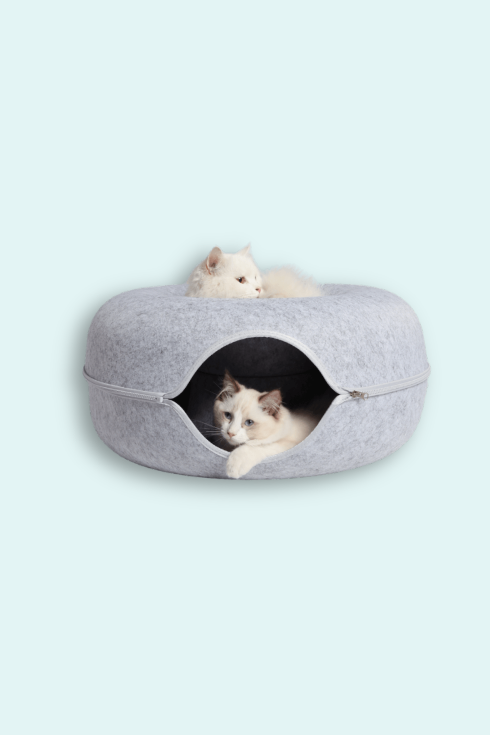 Coolizz-Donut Kedi Tüneli / Kedi Yatağı-Kedi-1-Milagron.com